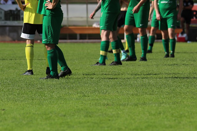 在瑞士羽球 在瑞士羽球