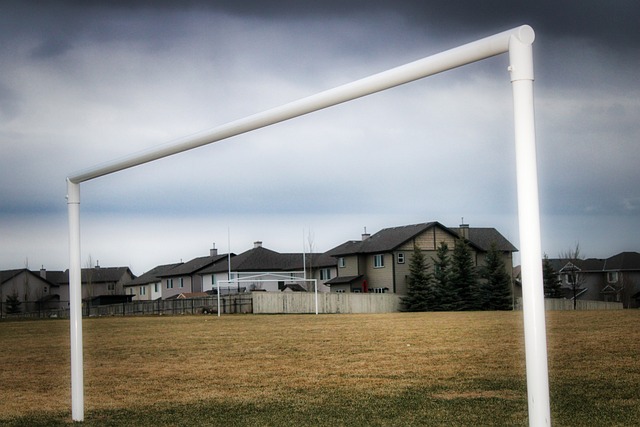 日本球員遠 日本球員遠