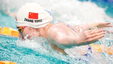 决定着一支 决定着一支