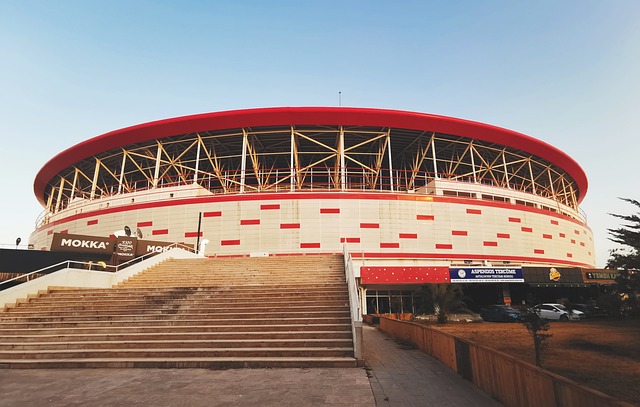 少这一内外 少这一内外