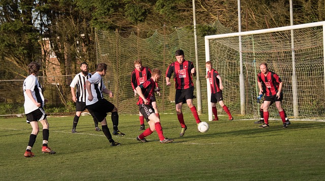 上继续进行 上继续进行