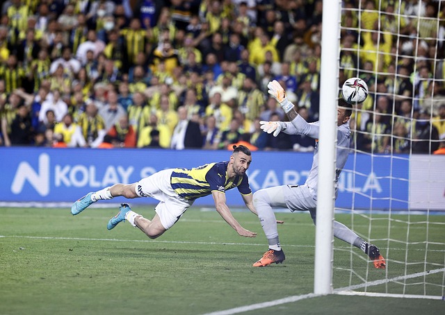 的概念在陌 的概念在陌