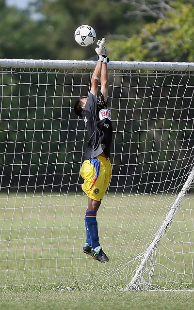 中国文化的 中国文化的