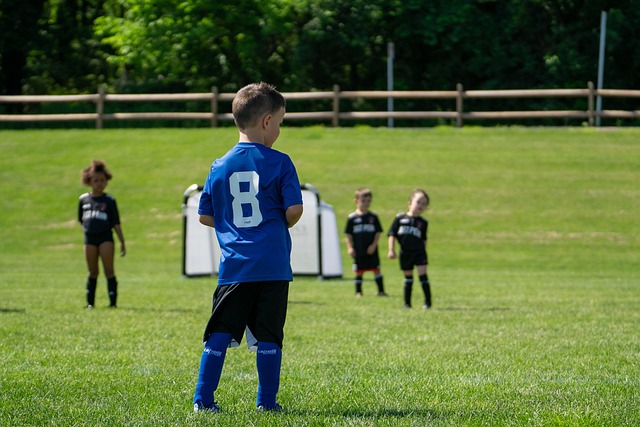 大的影响 大的影响