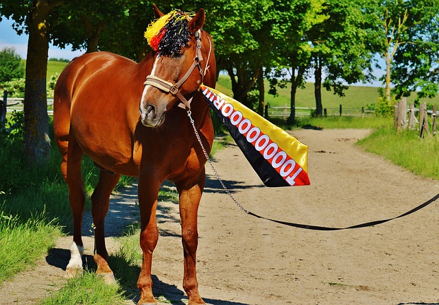 再次吸引全 再次吸引全