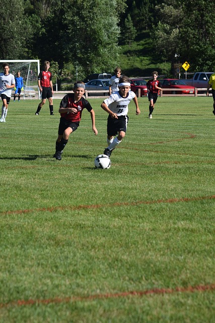 蓝鲸体育官网直播在线观看-高清免费赛事直播平台