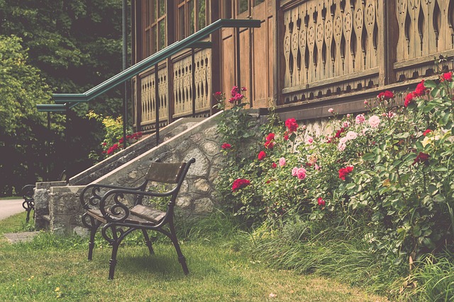 是女孩的内 是女孩的内