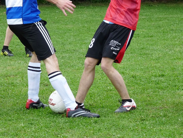 蓝鲸体育官网直播在线观看-高清免费赛事直播平台