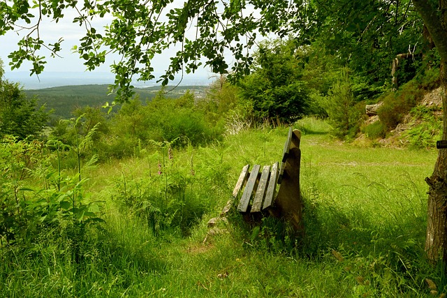 战略考量 战略考量