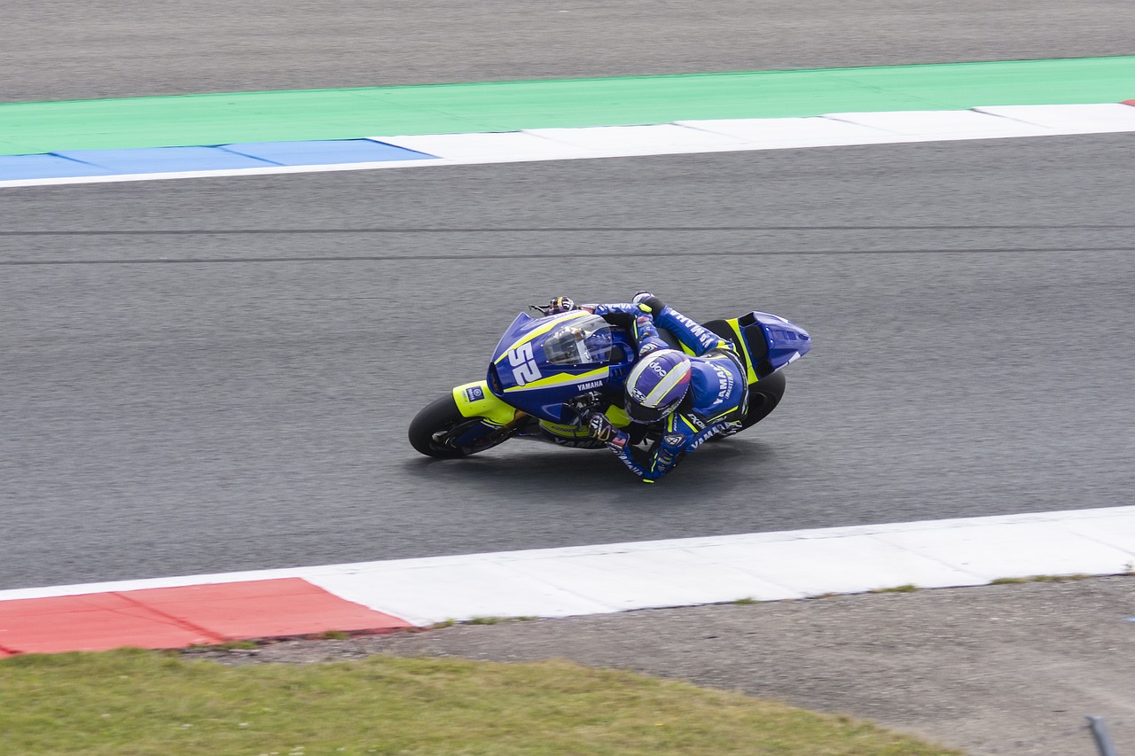 战的球迷 战的球迷